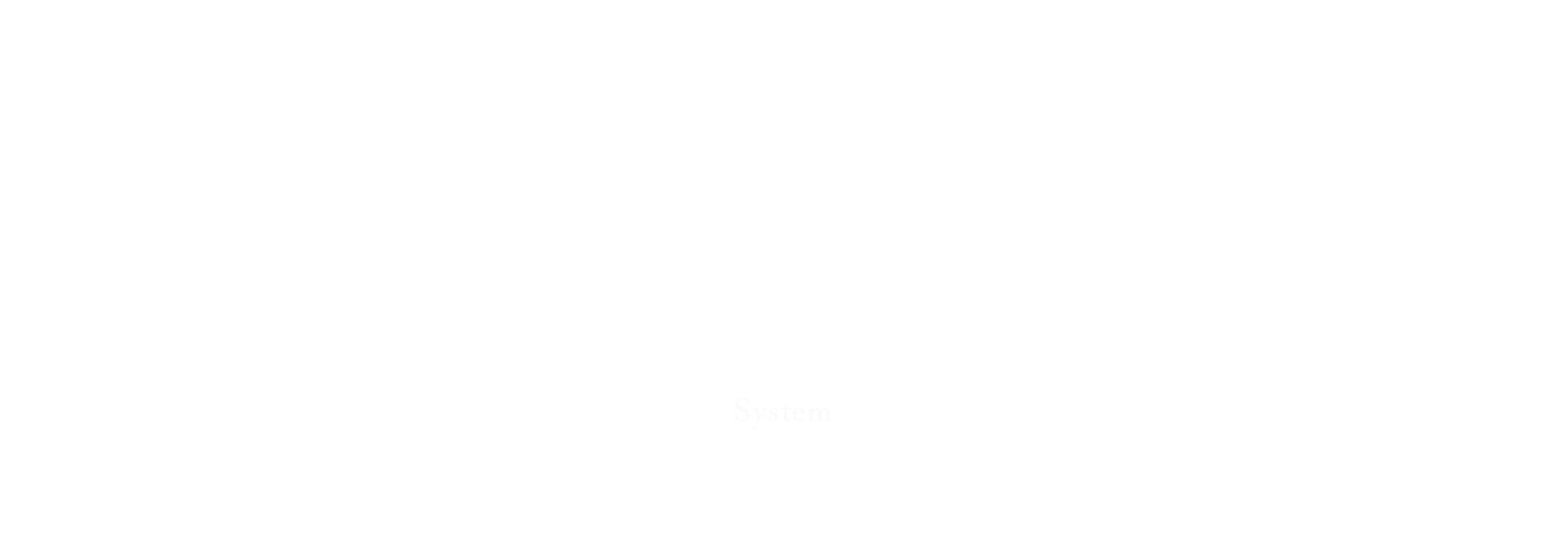 System